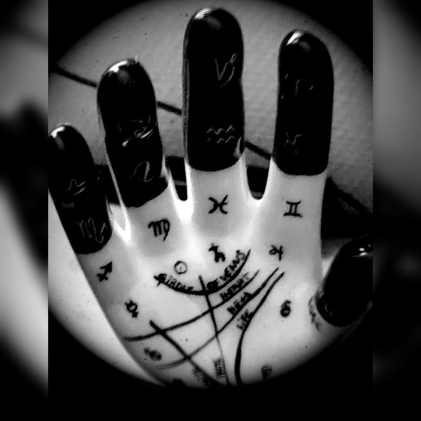 P.a.l.o.m.a.r