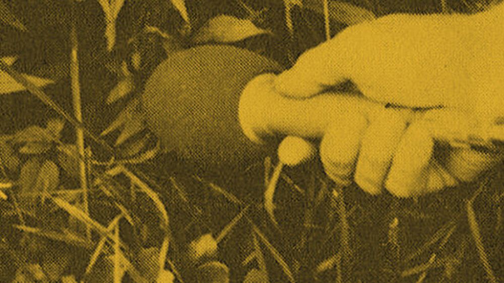 recomendaciones de libros pelis y obras de musicaexperimental.ar